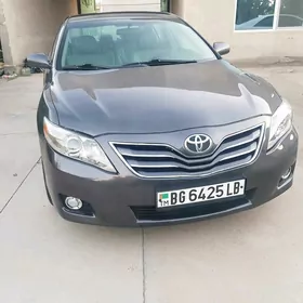 Toyota Camry 2010