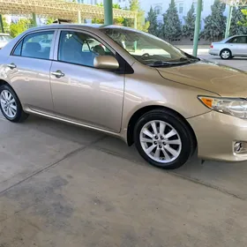 Toyota Corolla 2008