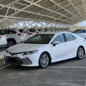 Toyota Camry 2020