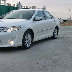 Toyota Camry 2013