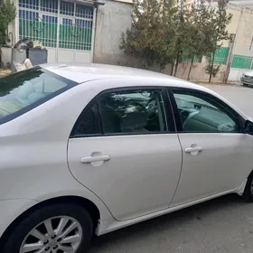 Toyota Corolla 2010