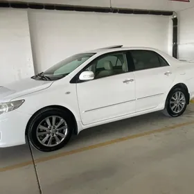 Toyota Corolla 2010