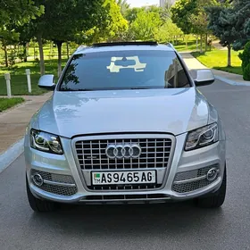 Audi Q5 2011