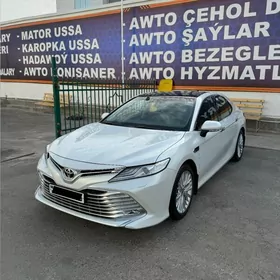 Toyota Camry 2020