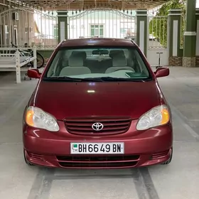 Toyota Corolla 2004