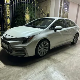 Toyota Corolla 2020