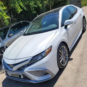 Toyota Camry 2019