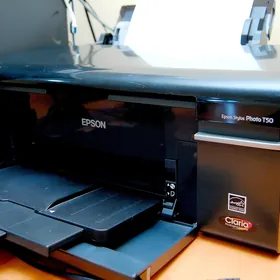 Epson  T50