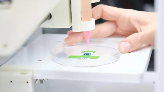 Учёные превратили белок из куриных яиц в основу для 3D-печати живых органов
