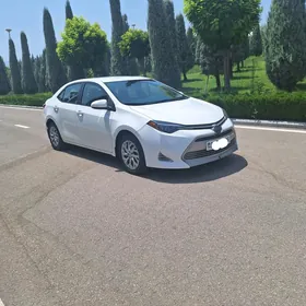 Toyota Corolla 2019