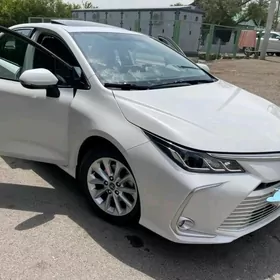 Toyota Corolla 2019