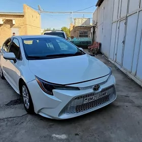 Toyota Corolla 2019