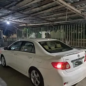 Toyota Corolla 2010