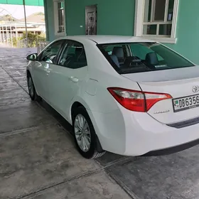 Toyota Corolla 2014