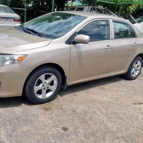 Toyota Corolla 2010