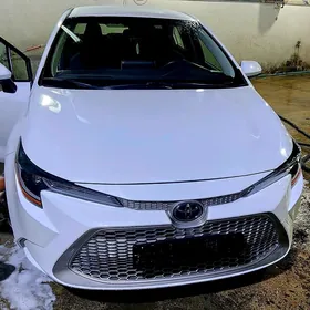 Toyota Corolla 2020