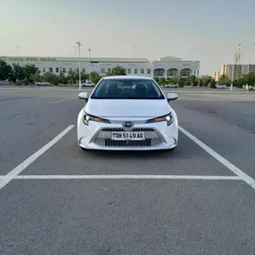 Toyota Corolla 2020