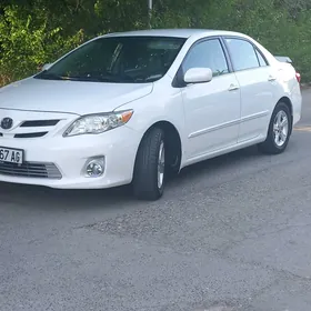 Toyota Corolla 2013