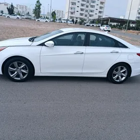 Hyundai Sonata 2010