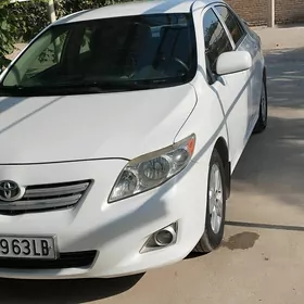 Toyota Corolla 2010