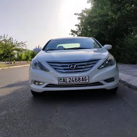 Hyundai Sonata 2010