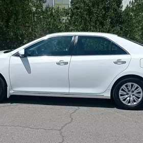 Toyota Camry 2013