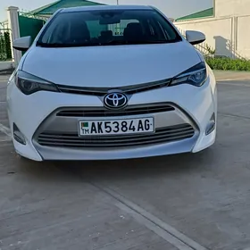 Toyota Corolla 2019