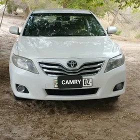 Toyota Camry 2010