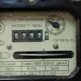 Elektro sçetçik Эл.счётчик