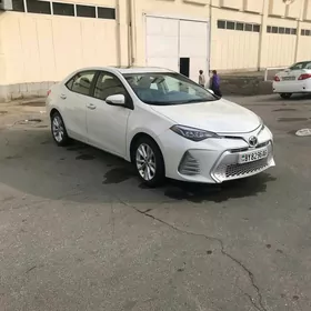 Toyota Corolla 2019