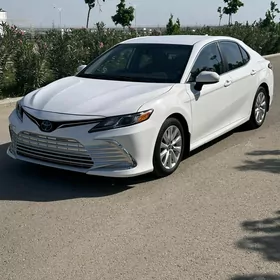 Toyota Camry 2019