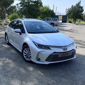 Toyota Corolla 2021