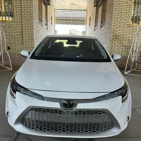 Toyota Corolla 2020