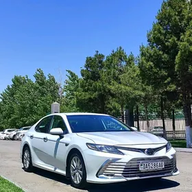 Toyota Camry 2019