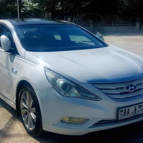 Hyundai Sonata 2010