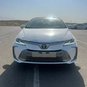 Toyota Corolla 2023