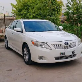 Toyota Camry 2010