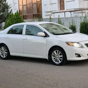 Toyota Corolla 2010