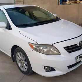 Toyota Corolla 2010