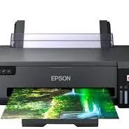 Epson reset