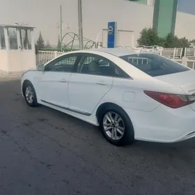 Hyundai Sonata 2010