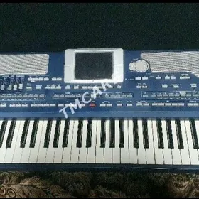 KORG PA800