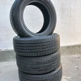 Pakriska 255/60R18 NEXEN