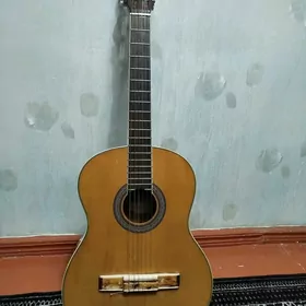 Gitara