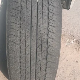 r17/265  prado dunlop