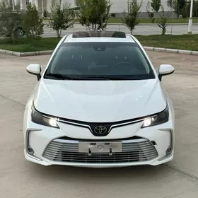 Toyota Corolla 2021