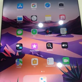 iPad Air 2