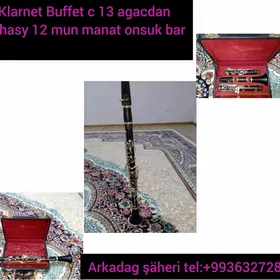 Klarnet Buffet c13 agacdan