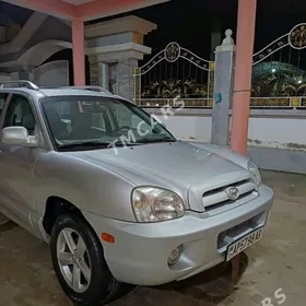 Hyundai Santa Fe 2004