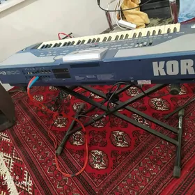 KORG pa800